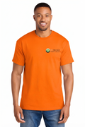 Plumbing Tee